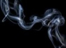 Kwikfynd Drain Smoke Testing
redhillnsw